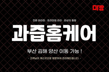 과즙홈케어