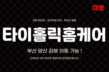 타이홀릭홈케어