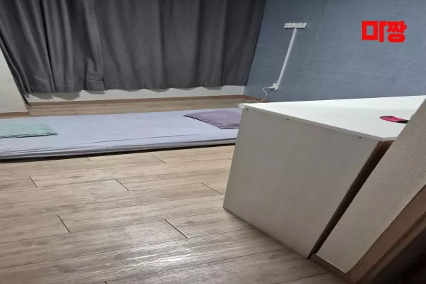 홀리데이2